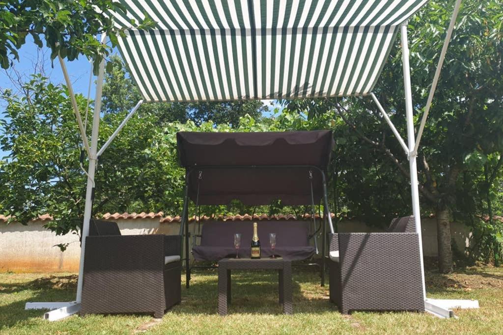 Stela Apartament *